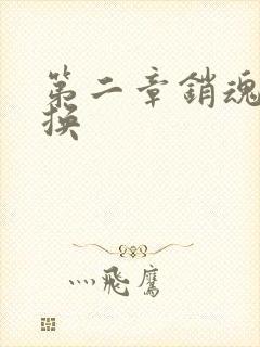 第二章销魂的交换