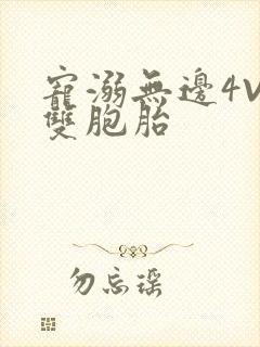 宠溺无边4V2双胞胎