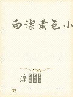 白洁黄色小说