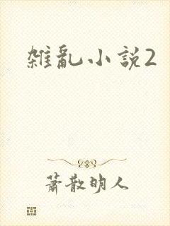 杂乱小说2