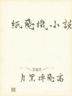 纸飞机小说
