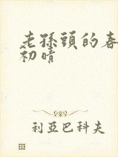 老孙头的春天林初晴