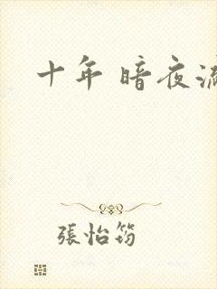 十年 暗夜流光