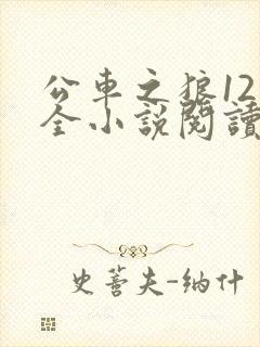 公车之狼12集全小说阅读