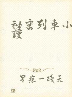 秘密列车小说阅读