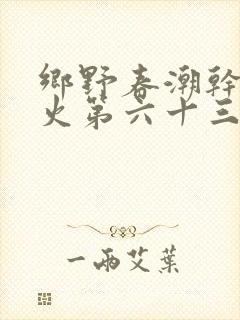乡野春潮干柴烈火第六十三章