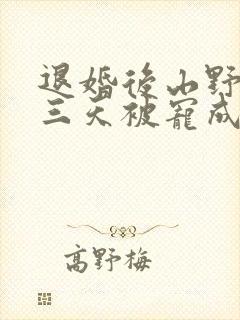 退婚后山野糙汉三天被宠成宝小说