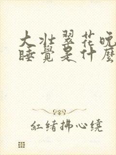 大壮翠花晚上不睡觉是什么电视剧