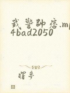 武警帅痞.mp4bad2050