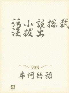 污小说总裁整夜没拔出