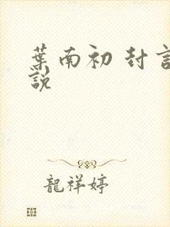 叶南初 封言小说