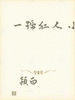 一号红人 小说