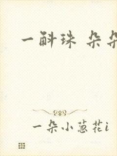 一斛珠 朵朵舞