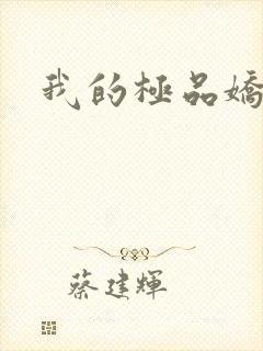 我的极品娇妻