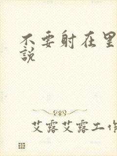 不要射在里面小说