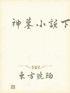 神墓小说下载