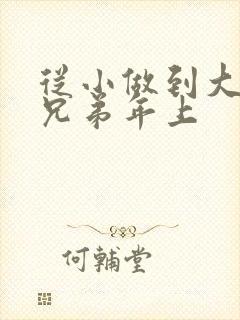 从小做到大骨科兄弟年上