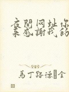 夜间网址你会回来感谢我的