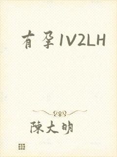 有孕1V2LH