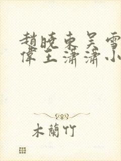 赵晓东吴雪晴郑伟王潇潇小说