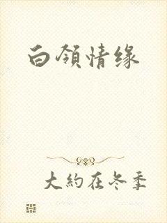 白领情缘