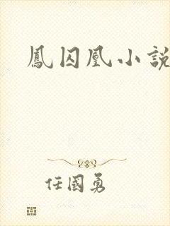 凤囚凰小说
