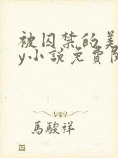 被囚禁的美人by小说免费阅读