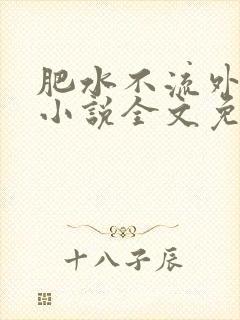 肥水不流外人田小说全文免费阅读1