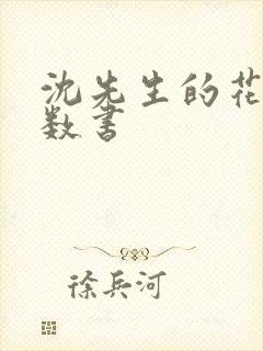 沈先生的花式调数书