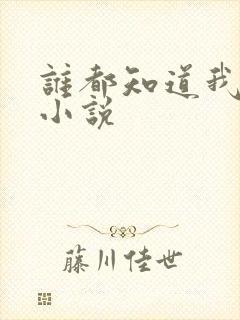 谁都知道我爱你小说