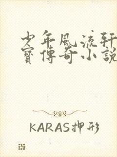 少年风流轩辕大宝传奇小说