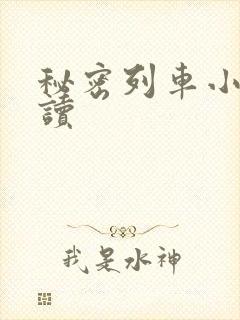 秘密列车小说阅读