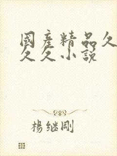 国产精品久久久久久小说