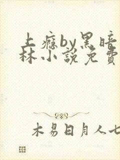 上瘾by黑暗森林小说免费