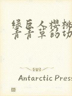 绿巨人樱桃荔枝青青草的功效