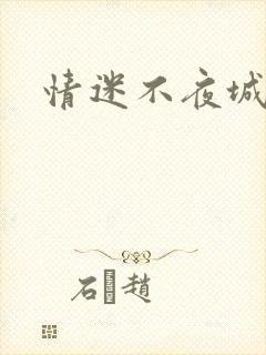 情迷不夜城