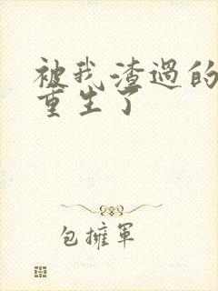 被我渣过的男主重生了