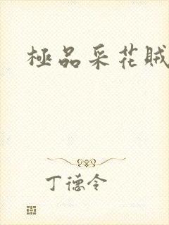 极品采花贼
