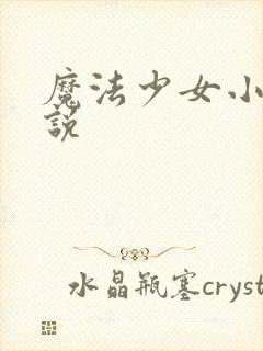 魔法少女小圆小说