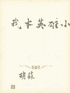 我本英雄小说