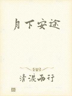 月下安途
