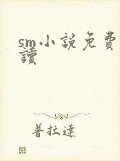 sm小说免费阅读