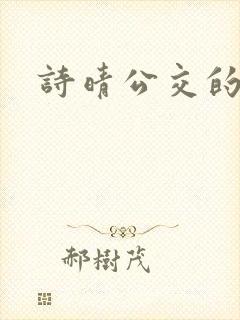 诗晴公交的小说