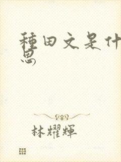 种田文是什么意思