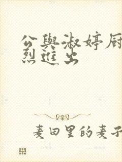 公与淑婷厨房猛烈进出