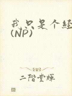 我只是个经纪人(NP)