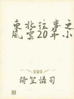 东北往事之黑道风云20年小说