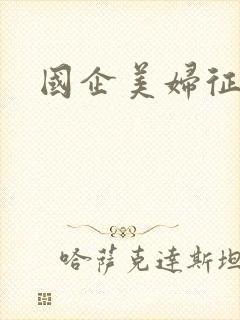国企美妇征途