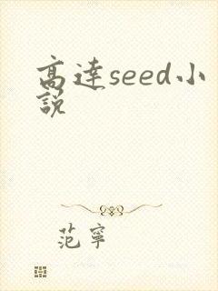 高达seed小说