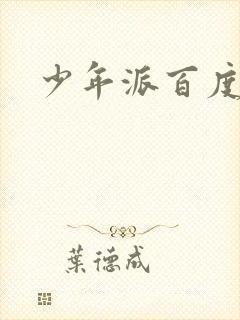 少年派百度百科